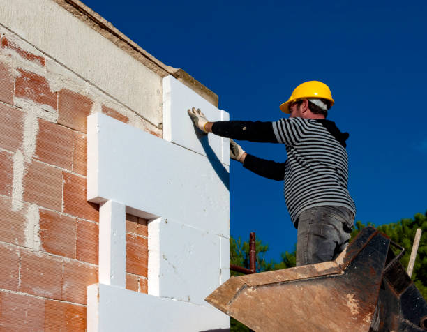 Best Insulation Contractors for Homes  in Laurens, SC