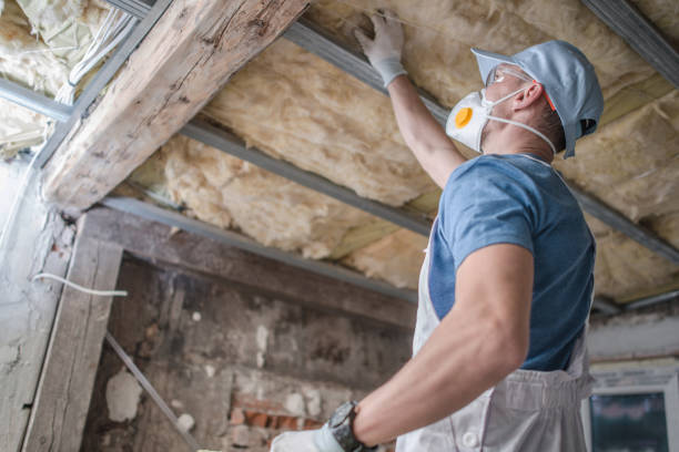 Insulation Replacement Services in Laurens, SC