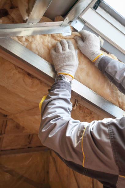 Best Spray Foam Insulation  in Laurens, SC