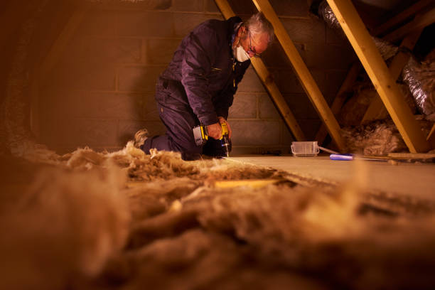 Best Wall Insulation Contractor  in Laurens, SC